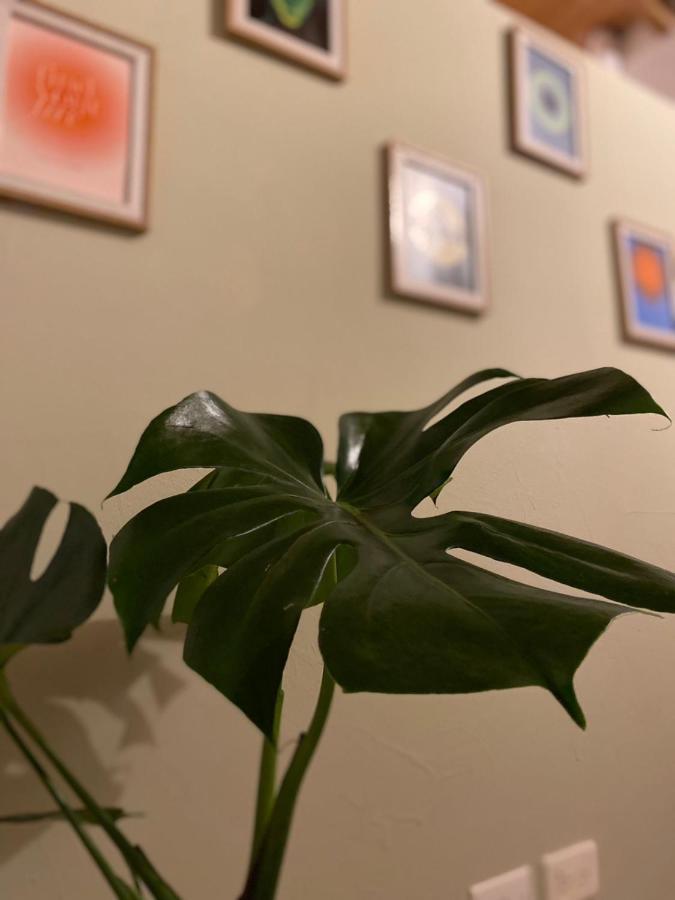 Subotanico Poblado, Medellin Apartment Екстериор снимка